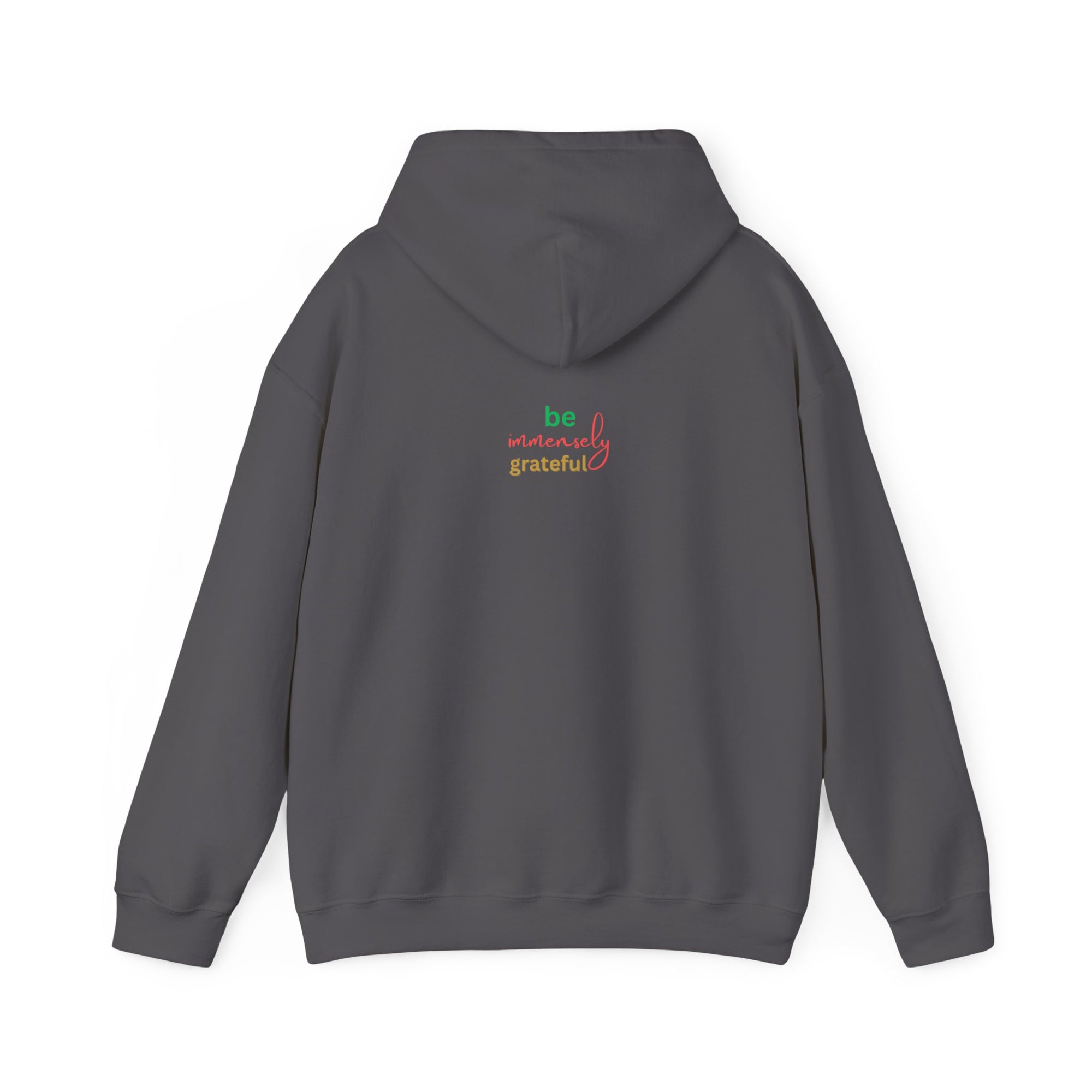 The Blessed No to Worry  Hooded Sweatshirt Fall/Winter essentials