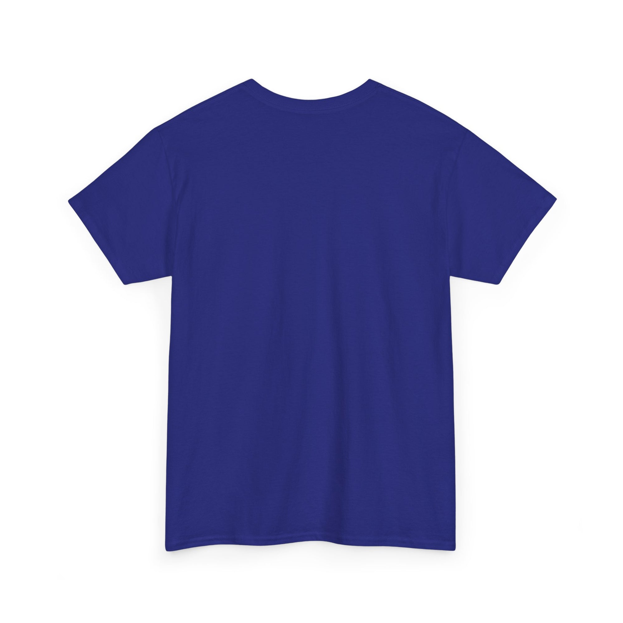 The Blessed Promise fulfilled Woman  customized T-shirt
