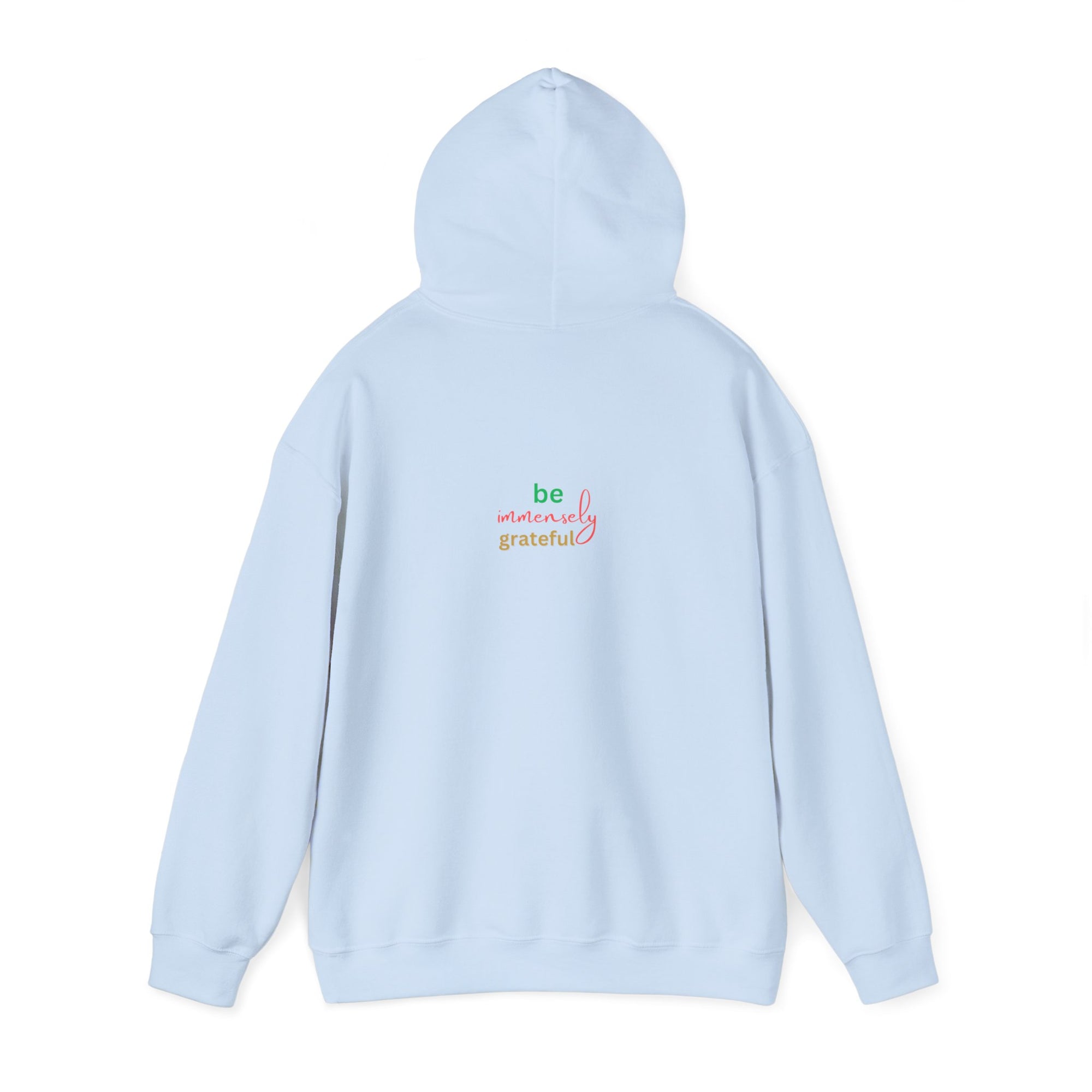The Blessed No to Worry  Hooded Sweatshirt Fall/Winter essentials