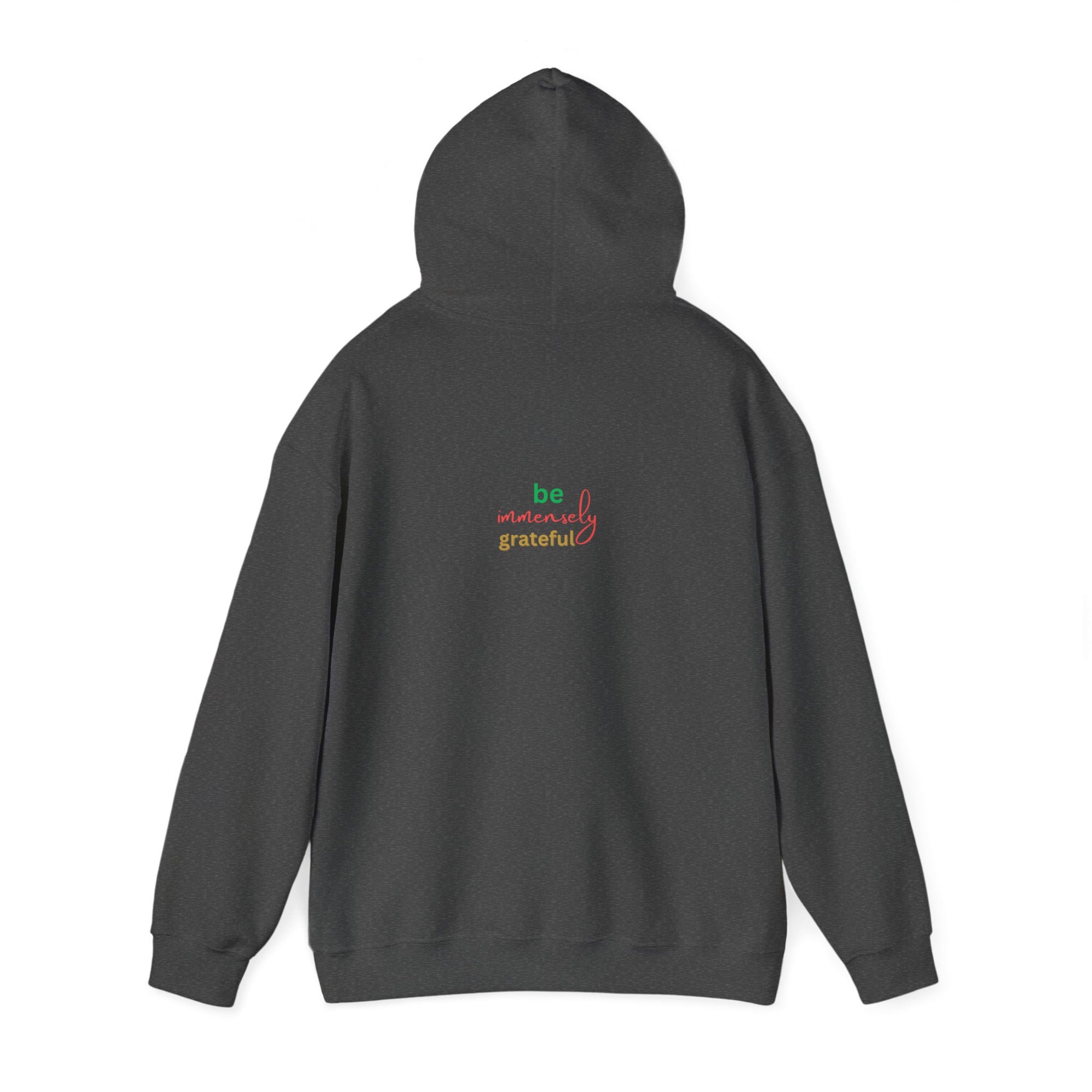 The Blessed No to Worry  Hooded Sweatshirt Fall/Winter essentials