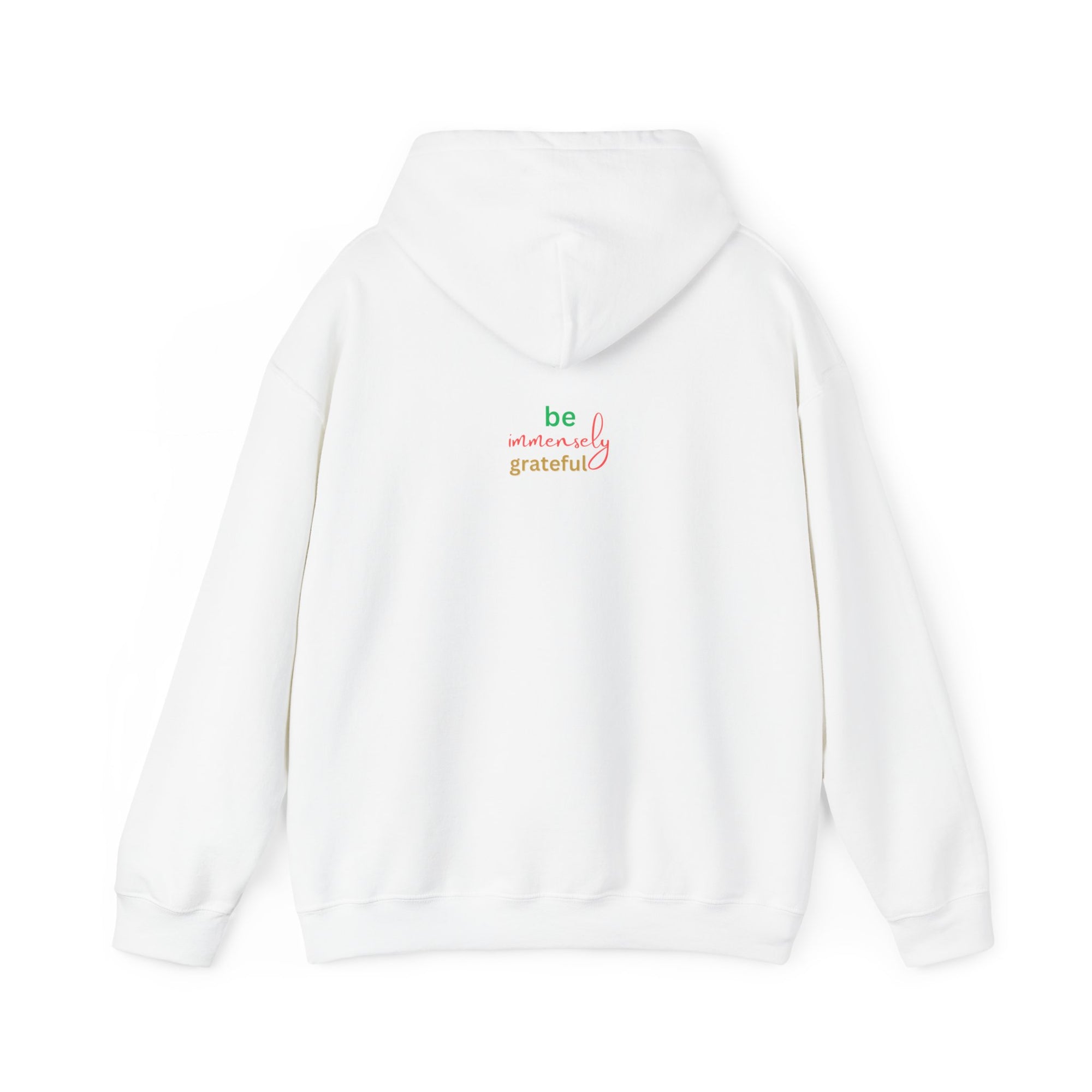 The Blessed No to Worry  Hooded Sweatshirt Fall/Winter essentials