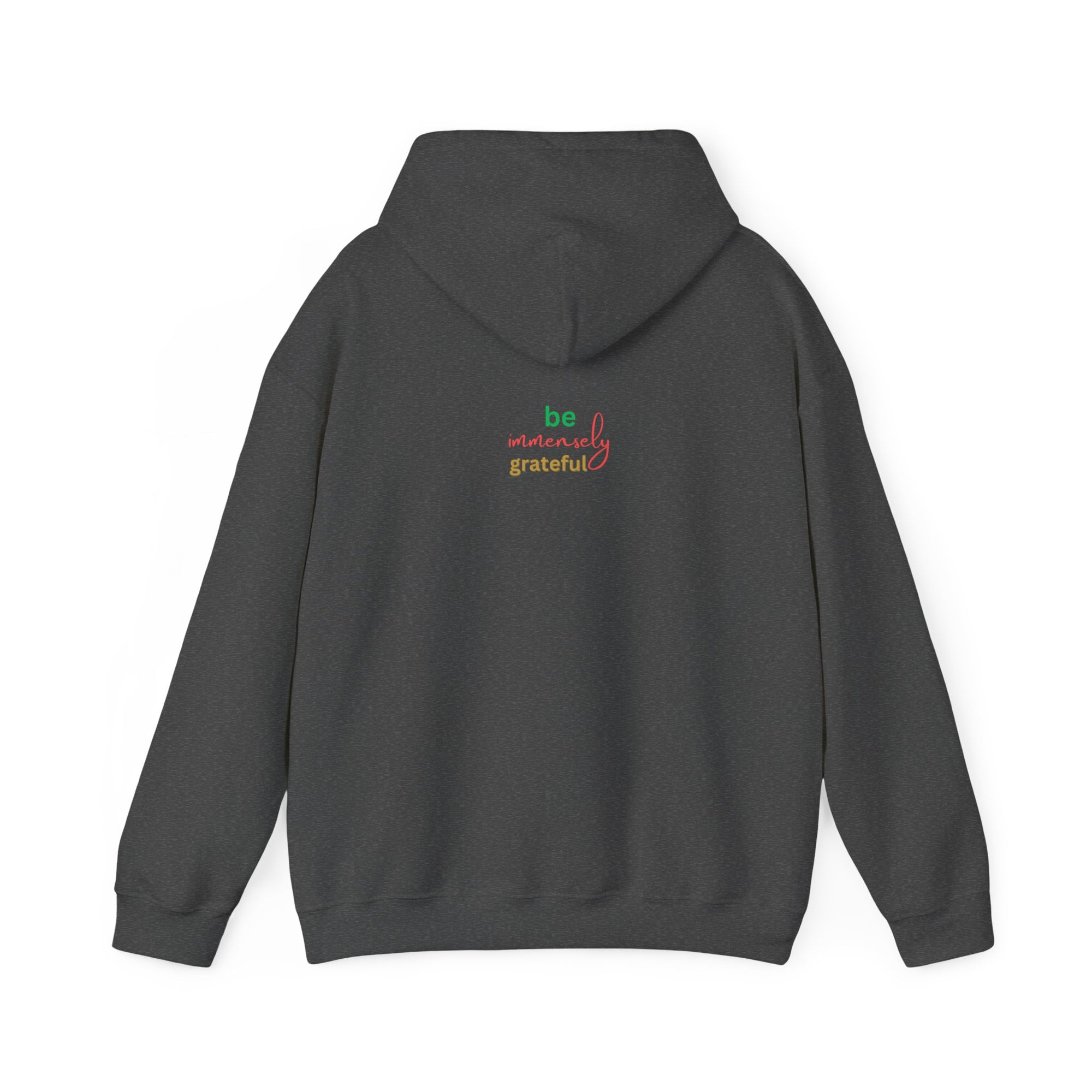 The Blessed No to Worry  Hooded Sweatshirt Fall/Winter essentials