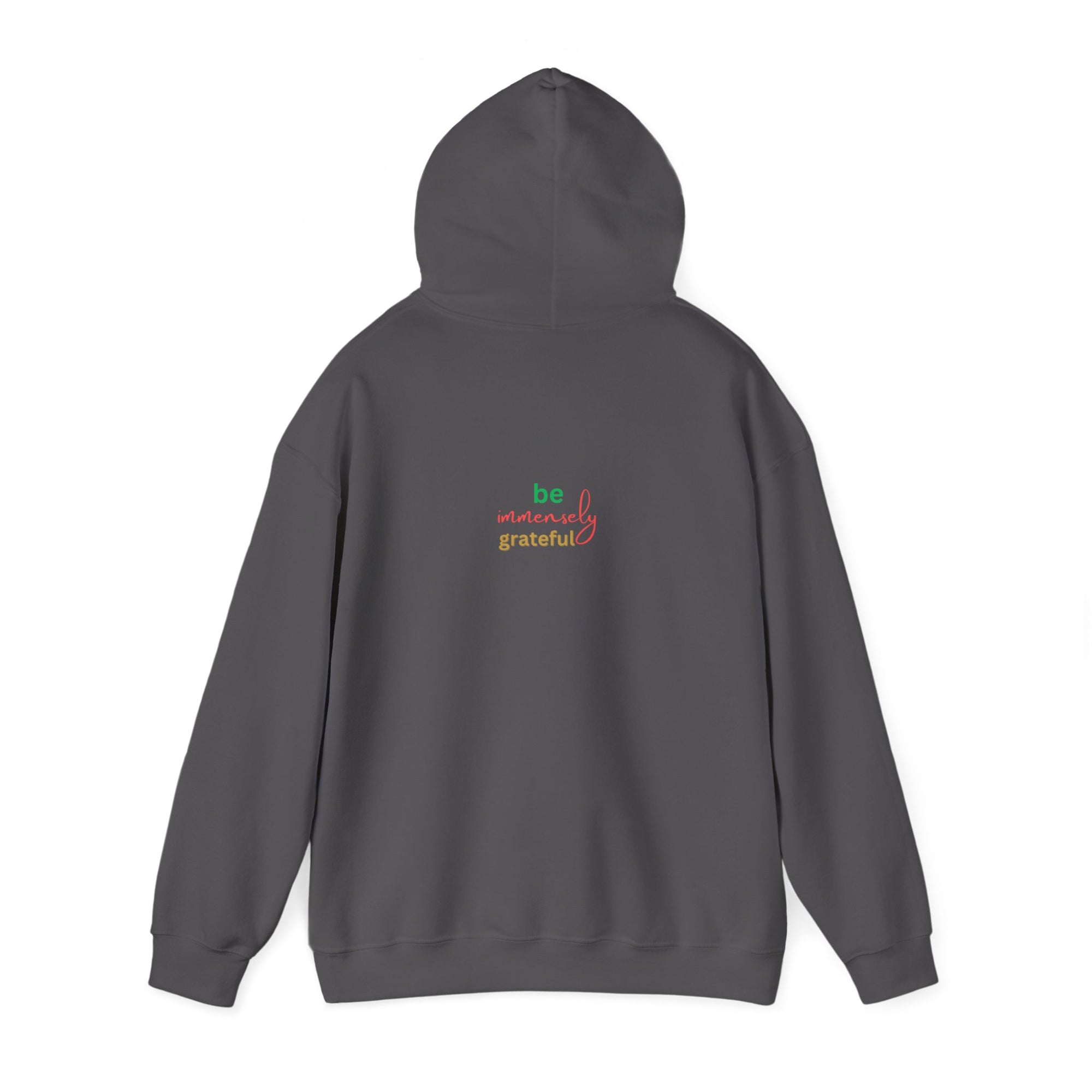 The Blessed No to Worry  Hooded Sweatshirt Fall/Winter essentials