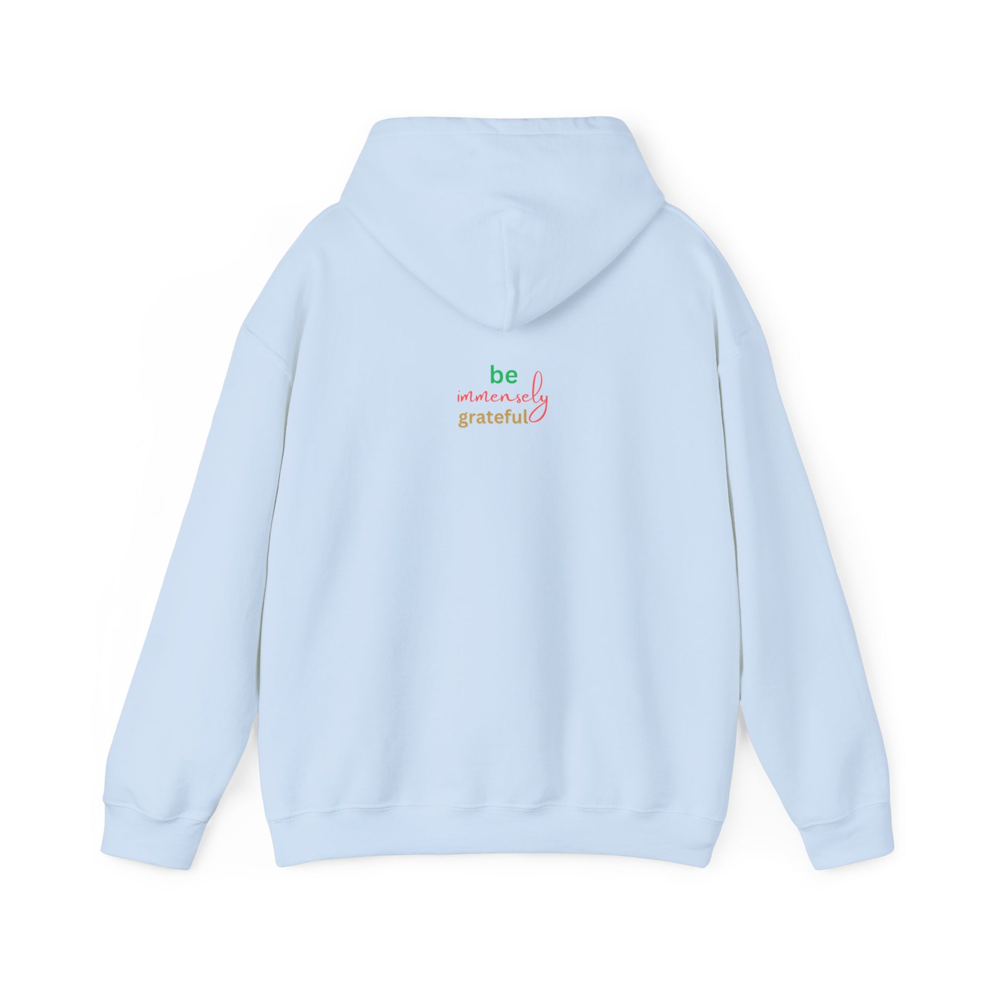 The Blessed No to Worry  Hooded Sweatshirt Fall/Winter essentials
