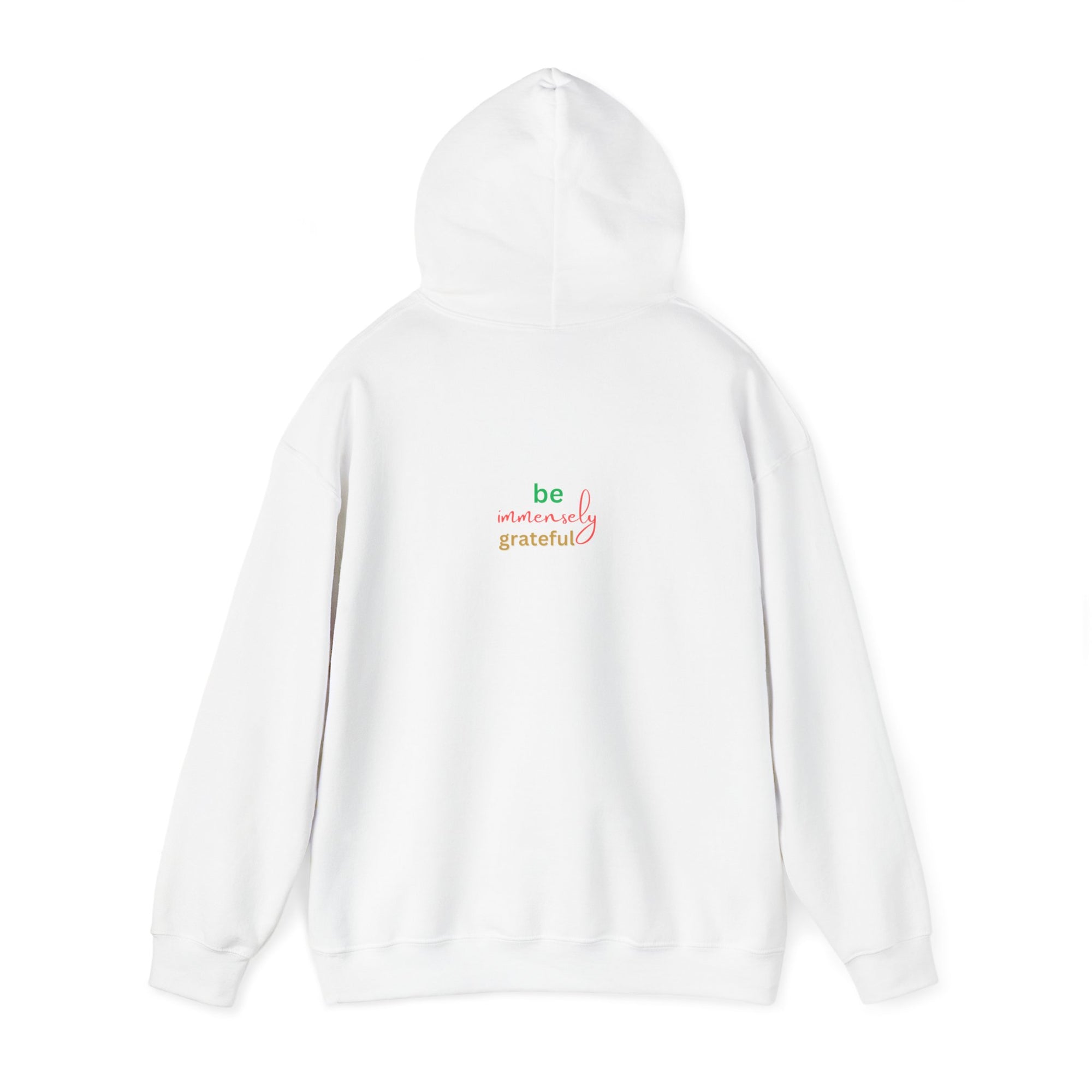 The Blessed No to Worry  Hooded Sweatshirt Fall/Winter essentials